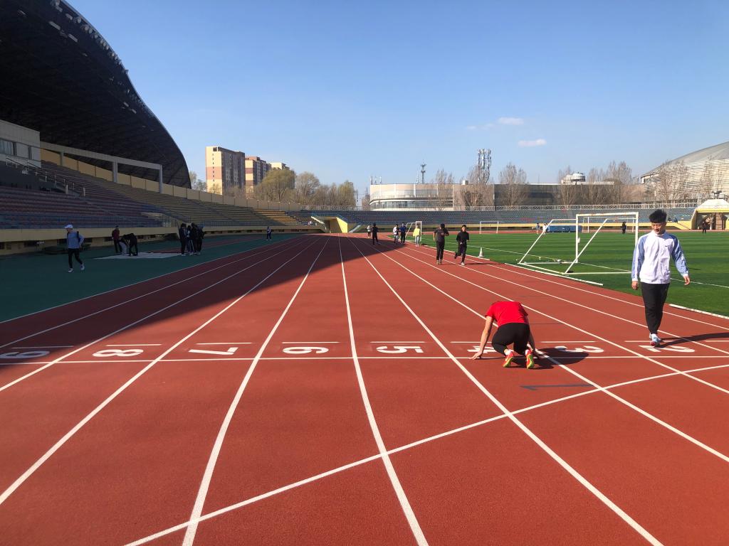 改造一新的体育场