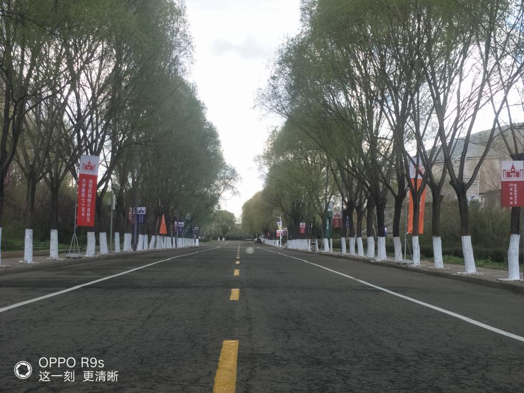 树木涂白及道路标线施划